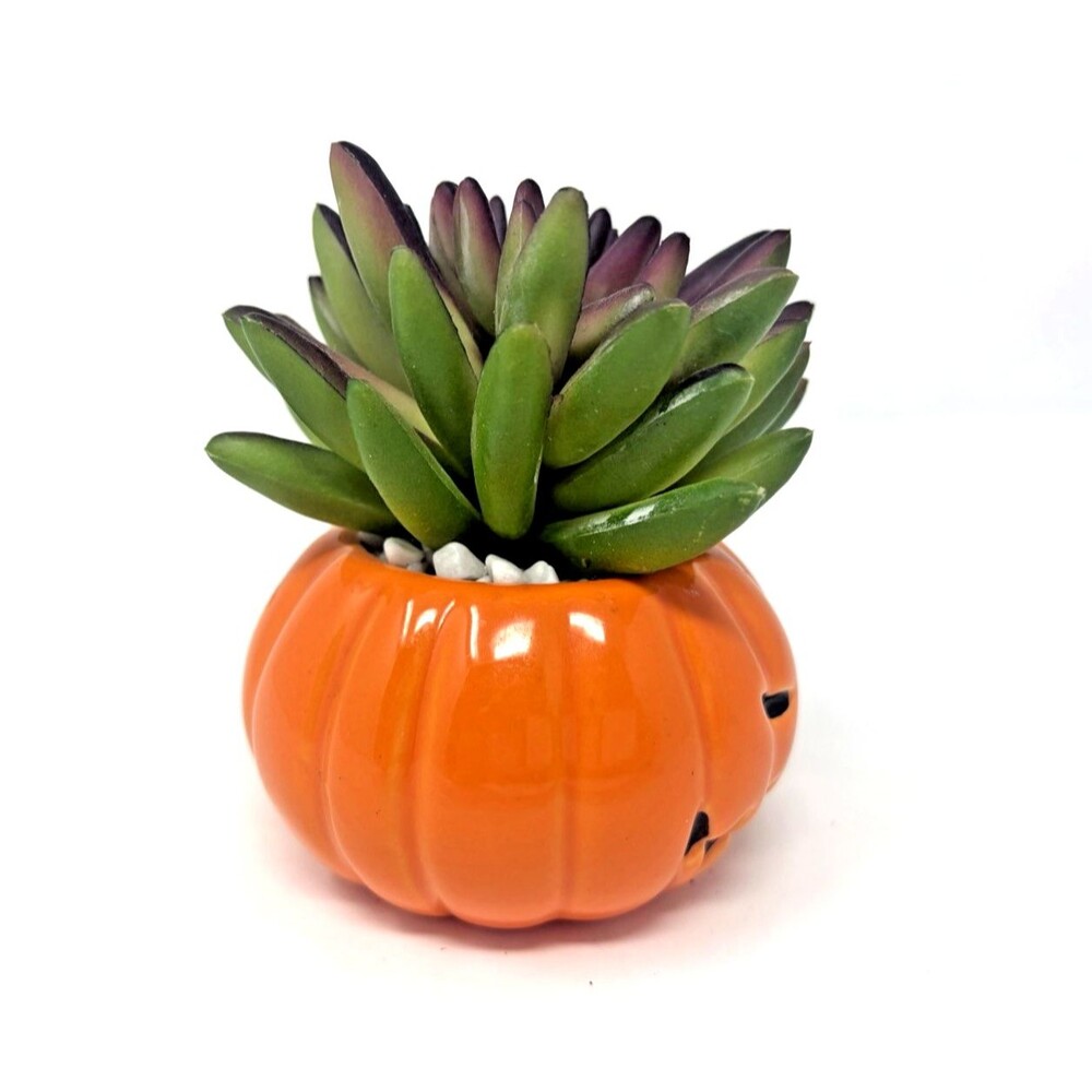 Disney Tim Burton's Nightmare Before Christmas Pumpkin King Faux Succulent 3.5in - Picture 3 of 8